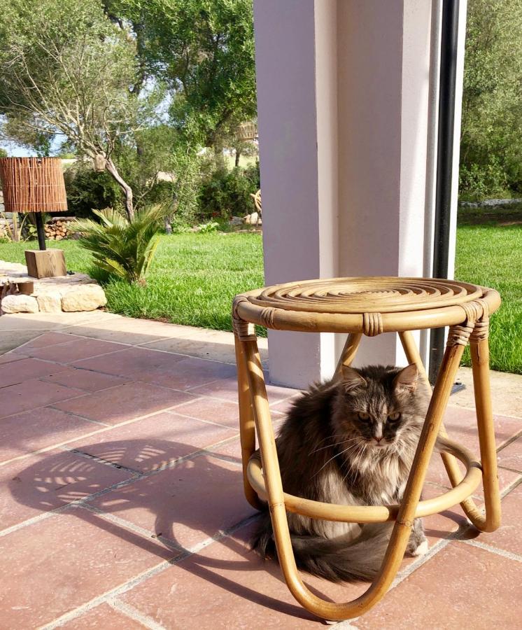 Отель La Casa Menorca Феррериас Экстерьер фото